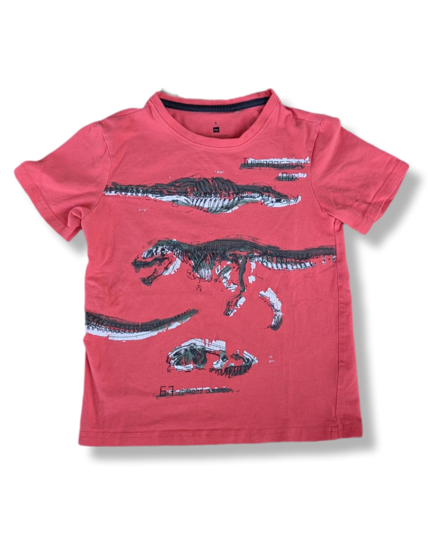 T-shirt à manches courtes avec imprimé de dinosaures 🦖 | TAG | 6 ans