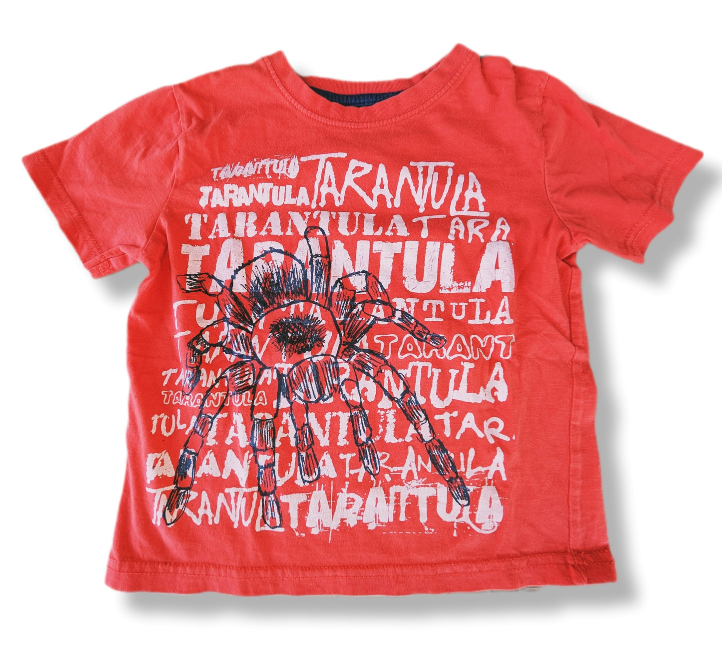 T-shirt à manches courtes avec araignée | GEORGE | 5 ans