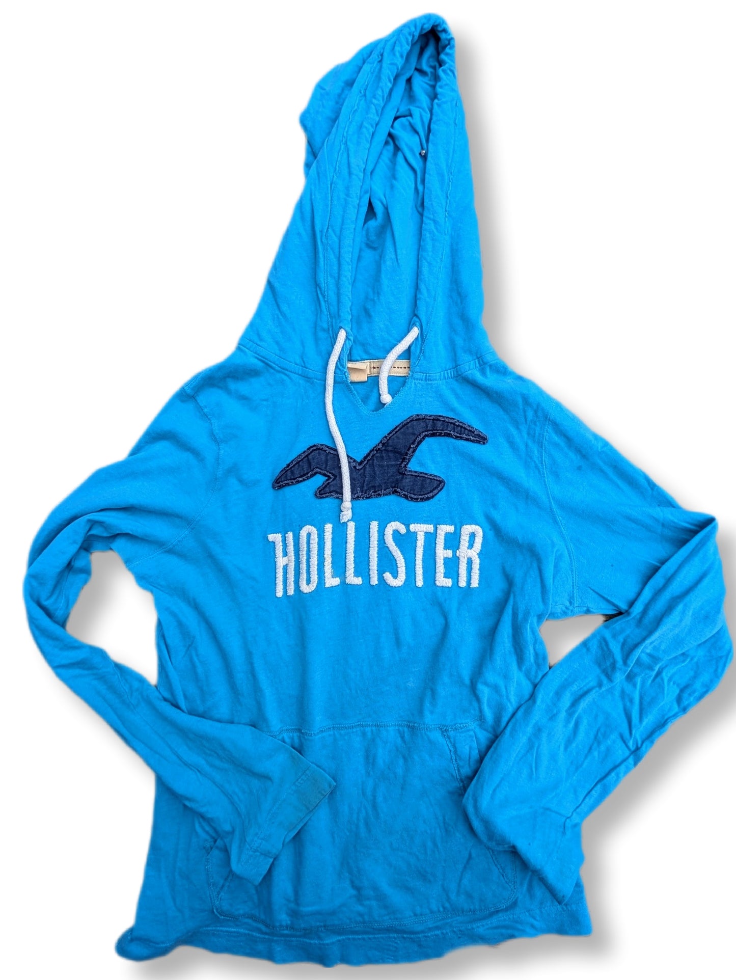 Chandail à capuchon bleu pâle avec logo HOLLISTER | MÉDIUM